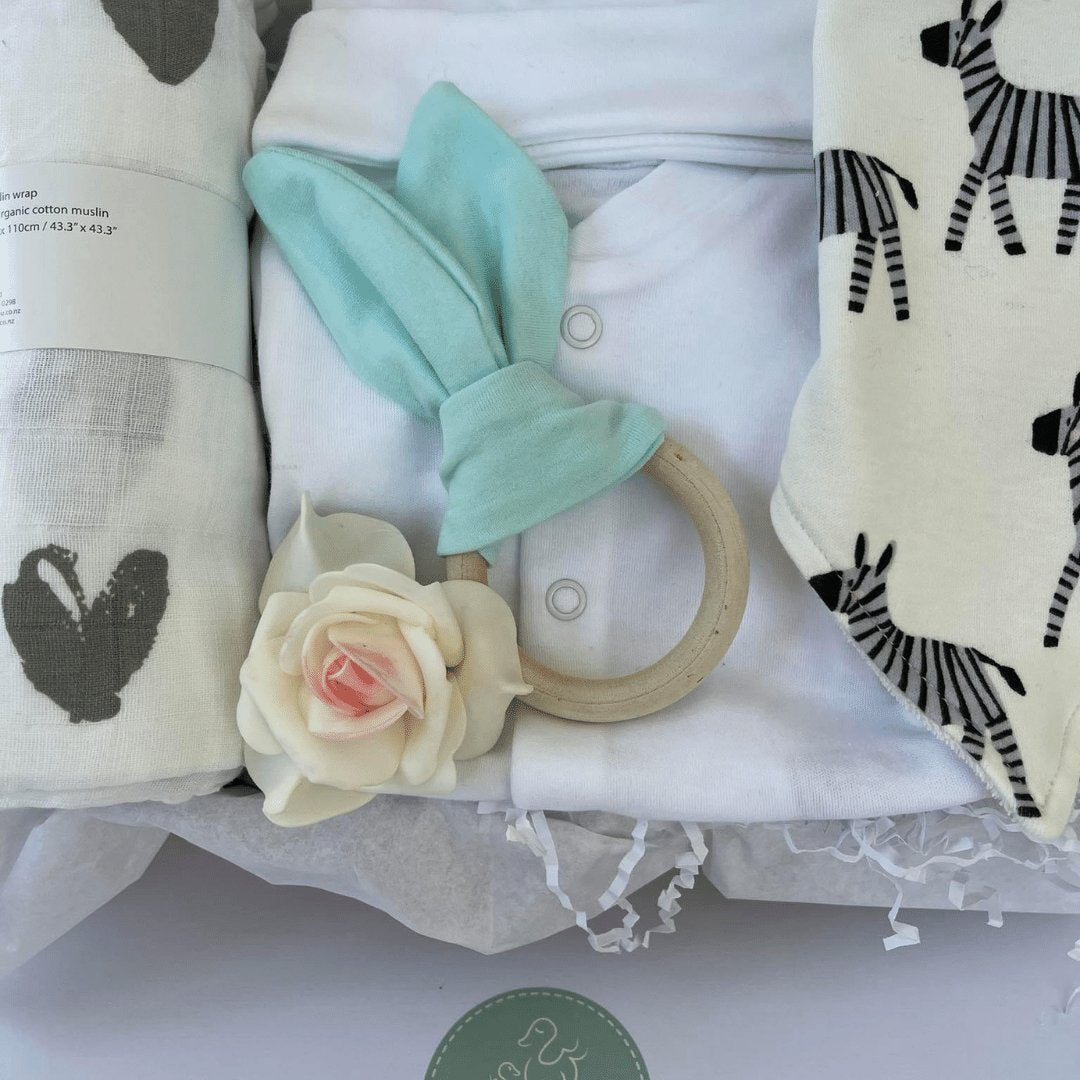 Pregnancy and Newborn Gifts